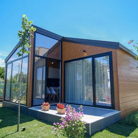 The Bungalow's فيلة